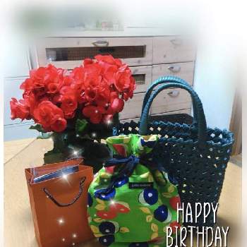 お誕生日の画像 by mayuさん | 部屋と春♡とお誕生日とお花❁˚と嬉しいプレゼント☆と花のある暮らしとベゴニア♡