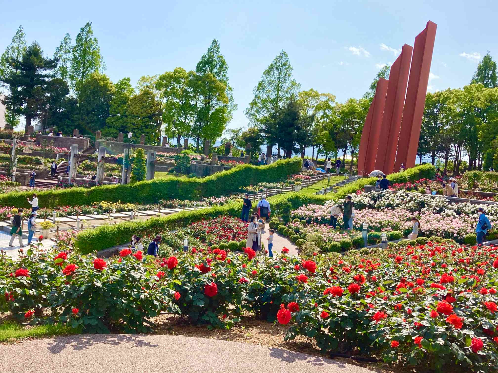 荒牧バラ公園 ボレロ