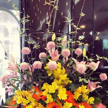 アートな写真の投稿画像一覧 Greensnap グリーンスナップ