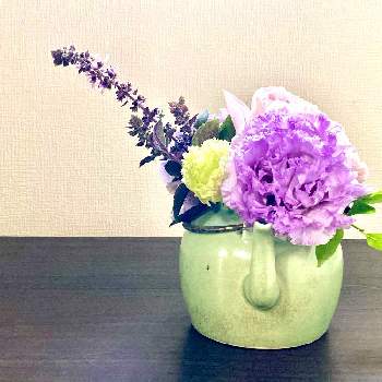 紫のカーネーションの画像 by リナさん | 花のある暮らしと紫のカーネーションとアレンジメント