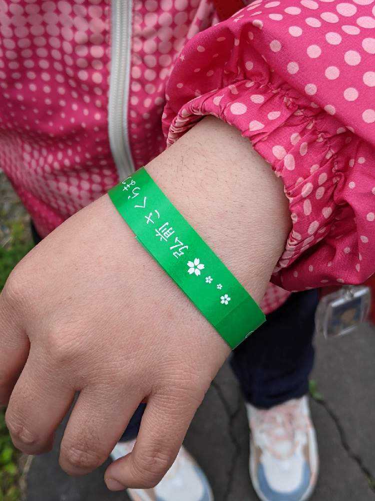 弘前城桜まつり行ってきました Greensnap グリーンスナップ 弘前城桜まつり行ってきました Greensnap グリーンスナップ