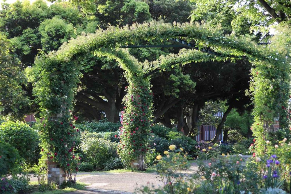 みちこさんの港の見える丘公園への投稿