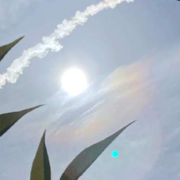 雨上がりの空の投稿画像一覧 Greensnap グリーンスナップ