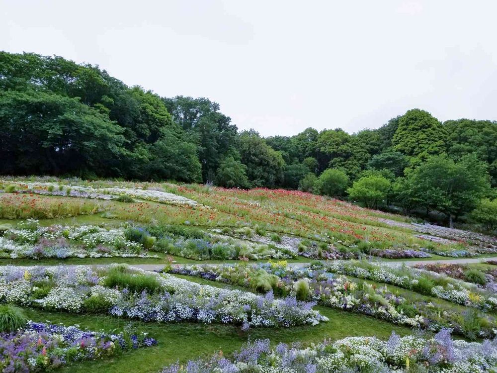 エリィさんの里山ガーデン（大花壇）への投稿