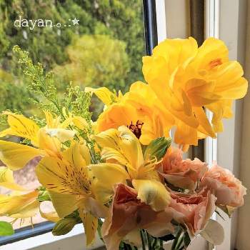 花と素敵な週末をの画像 by dayanさん | 窓辺とBloomeeとweekend flouwerとケーラーと春のリビングフラワーフォトコンとオマジオと花と素敵な週末をとお花を買おう❣❣と北海道と切り花