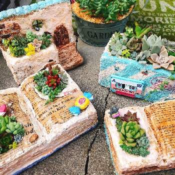 モルタル鉢の投稿画像一覧 Greensnap グリーンスナップ