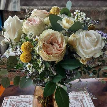 ブライダルフラワーの投稿画像一覧 Greensnap グリーンスナップ