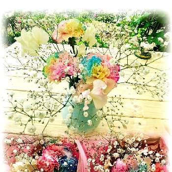 レインボーカーネーションの画像 by soa❤︎さん | かすみ草とスイトピーとレインボーカーネーションと母の日のプレゼントと愛を込めて花束をといつまでも元気でいてね
