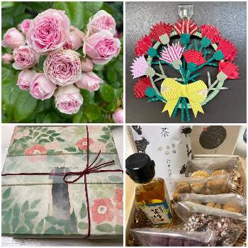 ペーパークラフト 花の投稿画像一覧 Greensnap グリーンスナップ