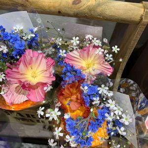 お出かけ先の画像