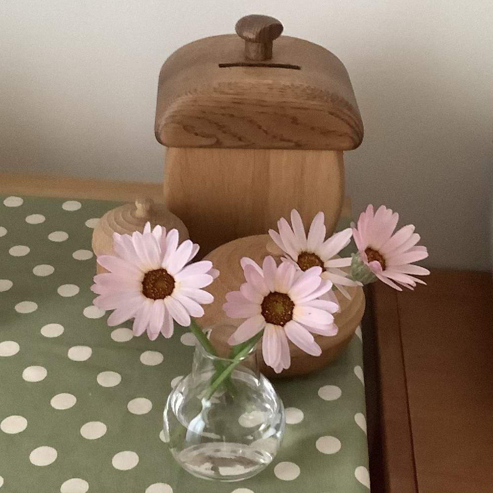 どんぐり小物入れの投稿画像 By Ikoさん オークビレッジと日当たりと小さい花瓶とベランダガーデンとどんぐり貯金箱と部屋と青山フラワーマーケットと どんぐり小物入れとオークビレッジと日当たりと小さい花瓶とベランダガーデンとどんぐり貯金箱と