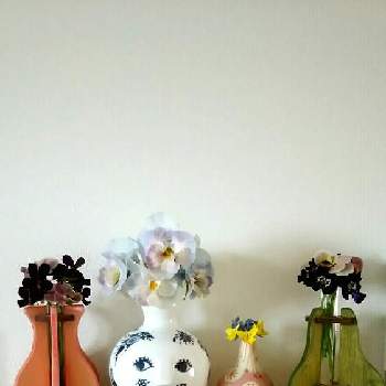 春のリビングフラワーフォトコンの画像 by シュシュさん | 部屋とケーラーとWEEKEND FLOWERとオマジオと春のリビングフラワーフォトコン