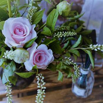 姫リョウブの投稿画像一覧 Greensnap グリーンスナップ