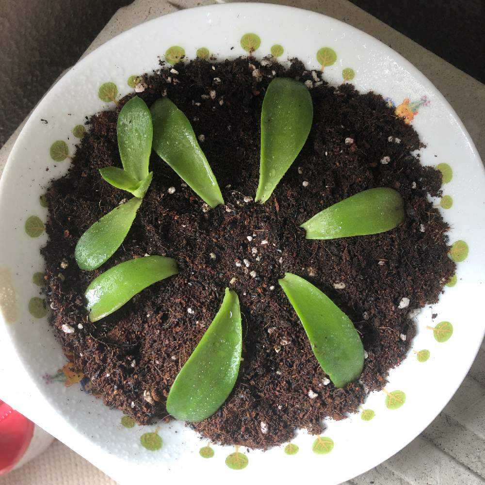 1620869658641_thum_978753_phot