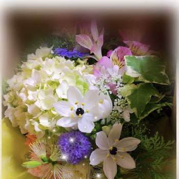 オーニソガラム♡の画像 by mayuさん | 部屋と春♡とハートズキュンとお花❁˚とアイビー♡とフラワーアレンジメント♡とアレンジと花のある暮らしとオーニソガラム♡