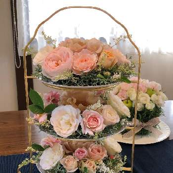 つるジュリアの投稿画像一覧 Greensnap グリーンスナップ