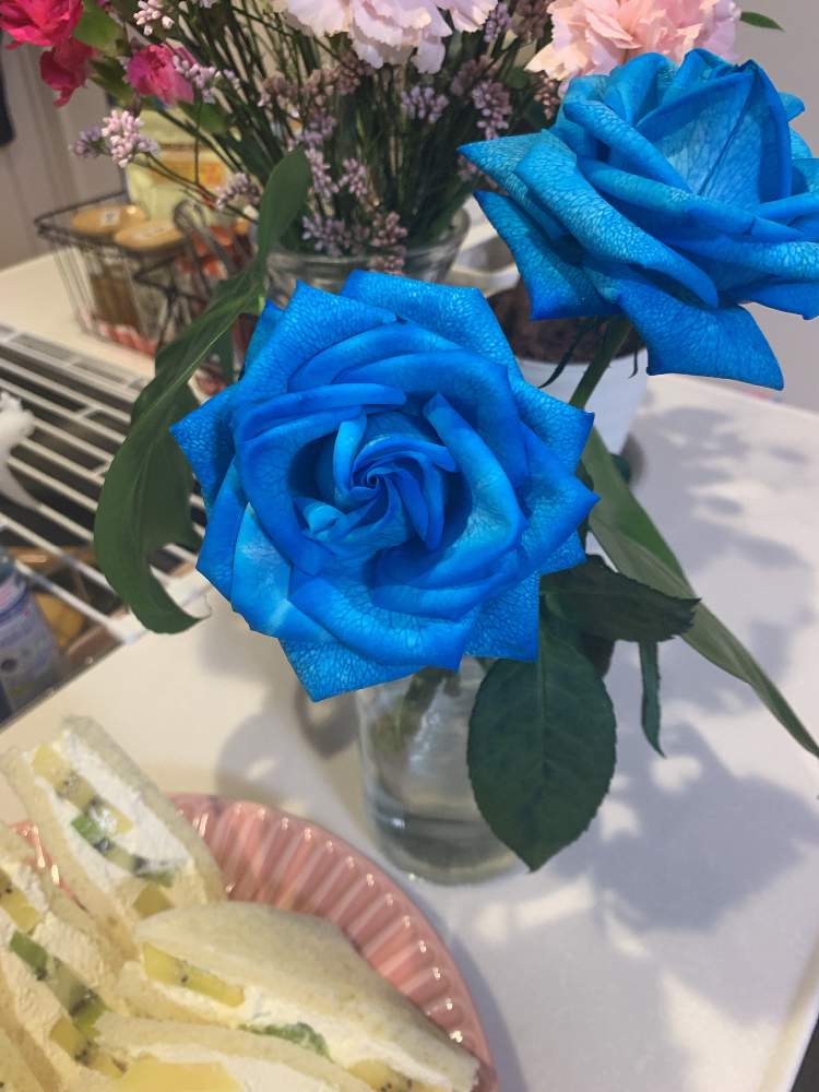 青い薔薇が好きの投稿画像 By Sachicoco1001さん お花大好き とありがとう と青い花と花言葉 とお花初心者と町のお花屋さんとお花のある生活と薔薇 とお花好きとお花好きの人と繋がりたいと切り花 21月5月15日 Greensnap グリーンスナップ