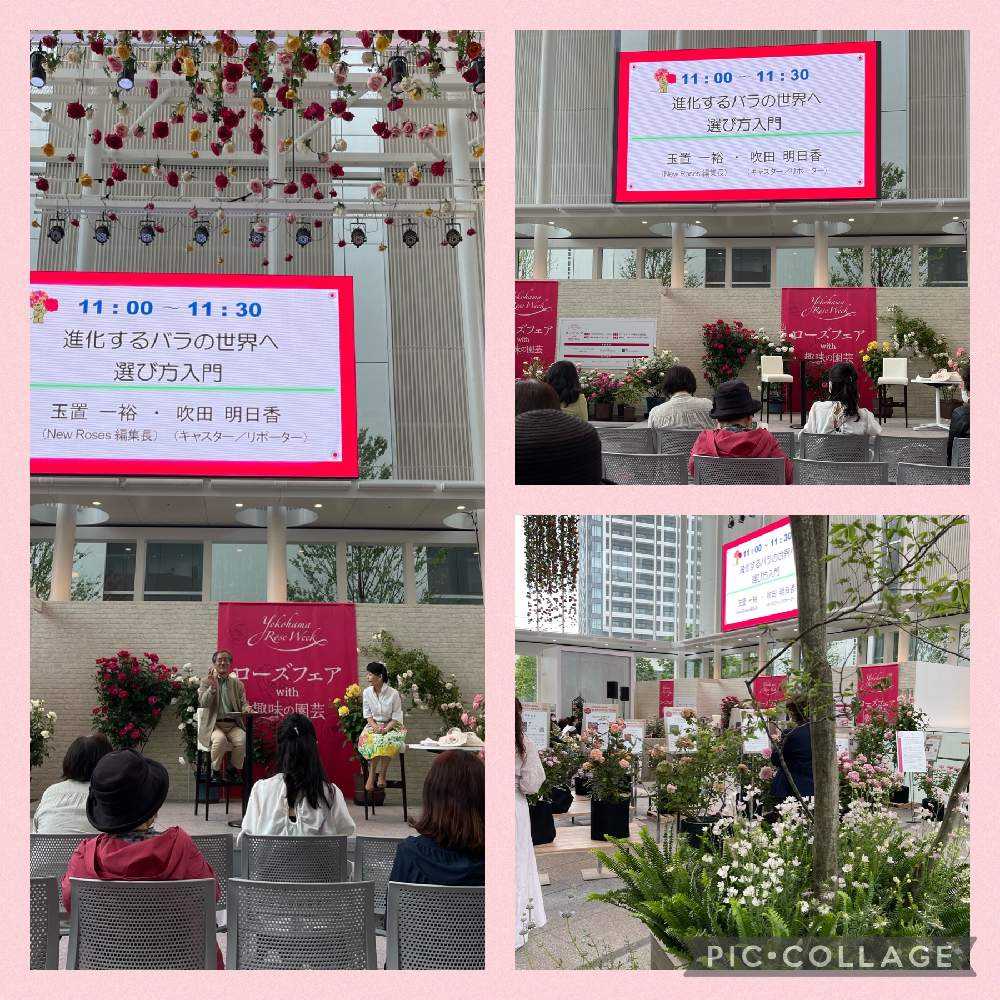 21 5 13 Yokohama Rose Week Greensnap グリーンスナップ