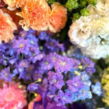 つくばフラワーショップの画像 by アクア・ブルームさん | インテリアとガーベラとバンダとトルコギキョウとデルフィ二ウムと母の月と送別のお花とお誕生日ギフトとこんな時こそ花を飾ろうとつくば花屋とアクアブルームと花を飾るとオーダー受付中と今日のお花と元気もらえると癒し空間と開店祝いとお祝い花と花のある暮らしとおしゃれ❤️と大人かわいい♪とつくばフラワーショップと花束