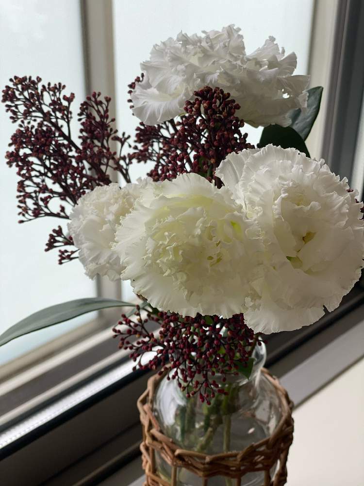 トルコキキョウの投稿画像 By くろりんさん スキミアとお花を楽しむと自己流アレンジと花のある風景と花瓶とフラワーアレンジメントと花のある暮らし 21月5月18日 Greensnap グリーンスナップ