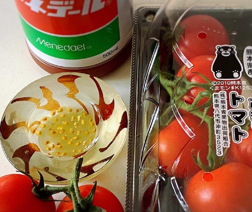 市販品トマトからの実生 Greensnap グリーンスナップ