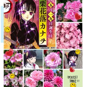 アジサイ,ダリア,バラ,カンパ二ュラ,GSの皆さまに感謝♡の画像