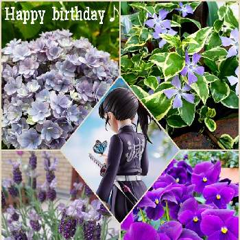 ㊗️栗花落カナヲ⚔️誕生日の画像 by 花ちゃんさん | 小さな庭と㊗️栗花落カナヲ⚔️誕生日と紫の花といつもありがとう♡とHappy Life