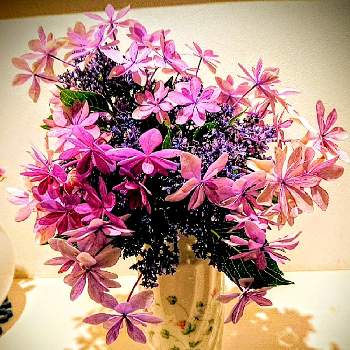 絵画のようにの画像 by たのこさん | 階段/廊下とアジサイ　紫陽花と紫陽花 アジサイ あじさいとアレンジメントと絵画のようにとexexとむらさきとはなのある暮らしとむらさきの花と花のある暮らしとかわいい花