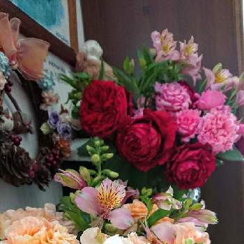 薔薇ローズ･デ･キャトル･ヴァンの画像 by のりりんの森さん | 玄関とアルストロメリアとジキタリスと薔薇ローズ･デ･キャトル･ヴァンと薔薇　ビアンヴニュと薔薇　ザンガーハウザー・ユビウムスローゼとキュンキュン乙女倶楽部と薔薇愛同盟と2021 GSでバラ園と可愛いお花達と花のある暮らしと自慢のバラ_2021