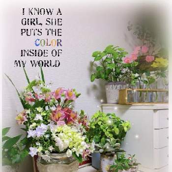 オーニソガラム♡の画像 by mayuさん | 部屋と植物のある暮らしとハートズキュンと多肉ちゃんとお花❁˚と紫陽花♡とアストロメリア。と花のある暮らしとオーニソガラム♡