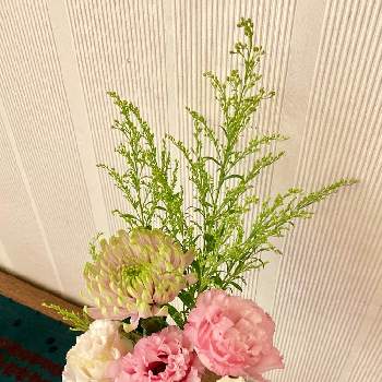 生けてみましたの画像 by みゃんさん | トルコキキョウとデコラマム（ロサーノシャルロッテ）とピンクの花とピンクとグリーンと癒される～と珍しい❓と白い花と生けてみました