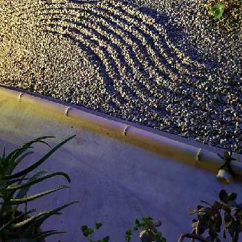 外溝の画像 by ジョウさん | 小さな庭と枯山水と日本庭園と庭師と造園と砂紋と結界と外溝とうどん県人会