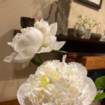 食卓に花の画像 by とも　　　　(tomo_tomo.k)さん | 部屋と芍薬とみどりのある暮らしと和食と食卓に花と今日の一枚と5月と日本料理店と1日おつかれさまでしたとバイト先とこんばんはと芍薬の花