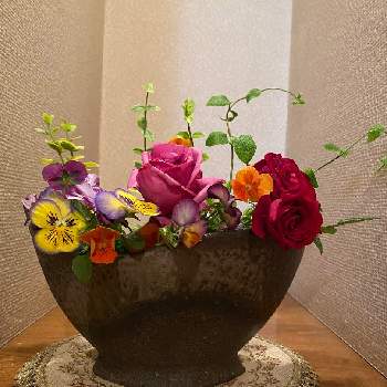 ツルマサキの画像 by コアラさん | インテリアとツルマサキとバラとビオラとゴールデンハニーサックルと花のある暮らしと赤いバラと花いっぱい！と花壇の入れ替え