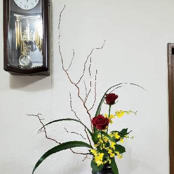 雲竜柳(ドラゴン柳)の画像 by colorさん | 玄関とシャガとオンシジュームとばらと雲竜柳(ドラゴン柳)と小原流とお花のある暮らしといけばなとお花は癒しと生け花