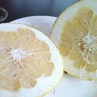 グレープフルーツの育て方 種まきや収穫の時期は 剪定は必要 Greensnap グリーンスナップ