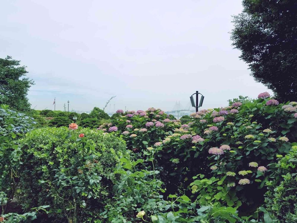 エリィさんの港の見える丘公園への投稿