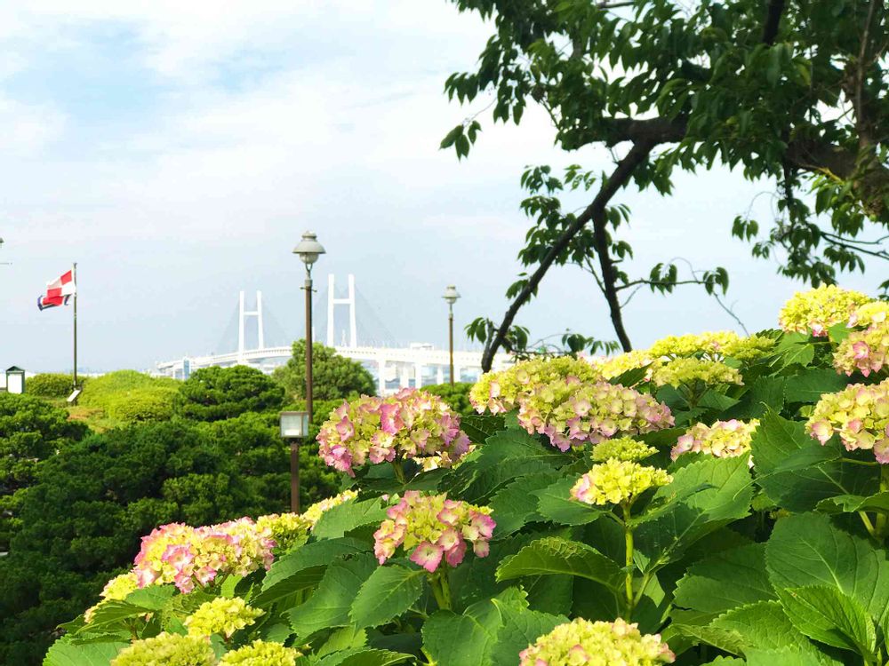 【公式】ガーデンネックレス横浜さんの港の見える丘公園への投稿