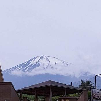 今日の富士山の画像 by ビビ⋅アンさん | お出かけ先と今日の富士山と道の駅から