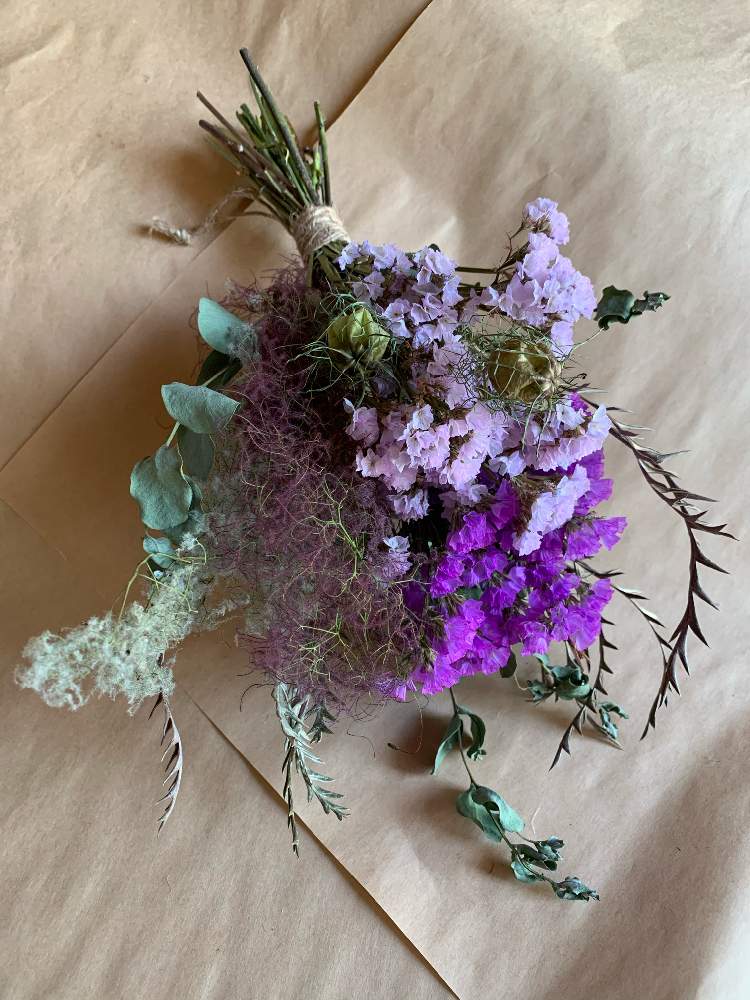 グレビレアの投稿画像 By Yさん スターチスとスモークツリーとニゲラの実とスワッグと花のある暮らし 21月5月30日 Greensnap グリーンスナップ