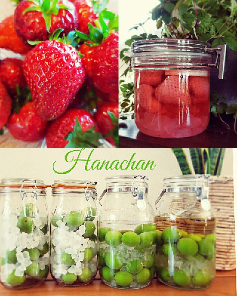 いちご酒の投稿画像 By 花ちゃんさん 梅シロップとベランダ栽培とありがとう とおうち時間とコロナに負けるな とhappy Lifeと梅酒とベランダ育ち 21月5月31日 Greensnap グリーンスナップ