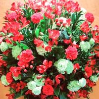 カーネーション,スプレーカーネーション,フラワーアレンジメント,花のある暮らし,6月の花の画像
