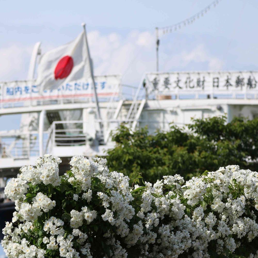 リッキーさんの山下公園への投稿