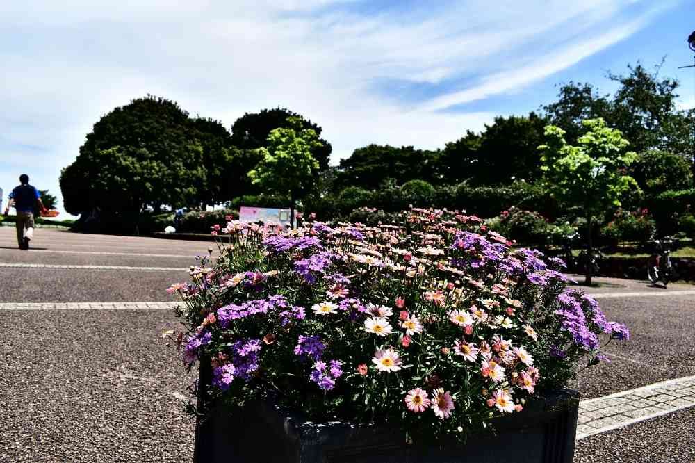 masaharuさんの港の見える丘公園への投稿