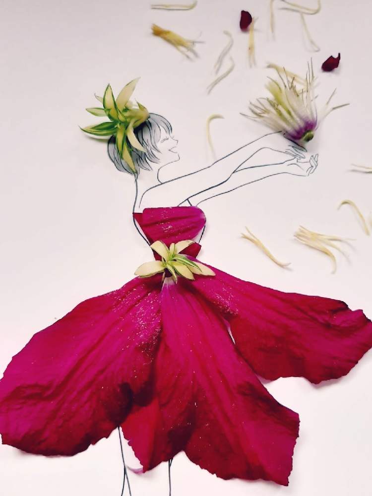 クレマチスの投稿画像 By まりりんさん お花のドレスと葉菜桜花子さんのイラストに花びら乗せて作りました 21月6月3日 Greensnap グリーンスナップ