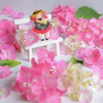 単焦点レンズの画像 by こもひささん | 部屋とピンクの紫陽花とピンクの花と庭の花とピンク❤︎ピンクと紫陽花 アジサイ あじさいと紙粘土とピンクとアジサイ　紫陽花と単焦点レンズとアレンジ