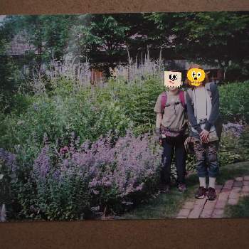 北海道ガーデン街道の投稿画像一覧 Greensnap グリーンスナップ