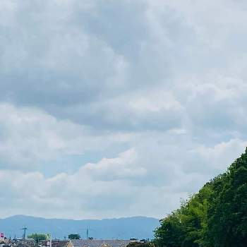 妖精は見たの投稿画像一覧 Greensnap グリーンスナップ