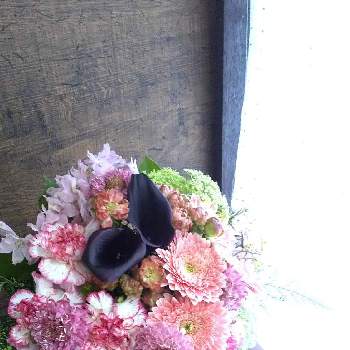 今日の花束の画像 by 花職人工房さん | 窓辺と切り花と今日の花束