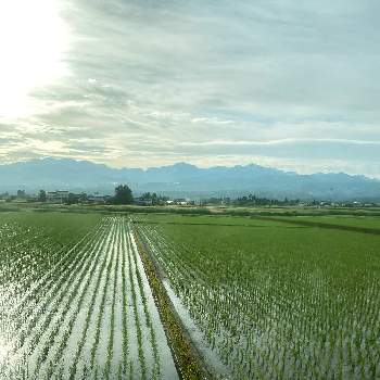 田園風景の投稿画像一覧 Greensnap グリーンスナップ 田園風景の投稿画像一覧 Greensnap グリーンスナップ